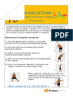 Folleto Pausas Activas