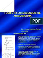 Flor 2013 PDF