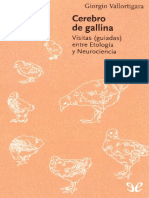 Giorgio Vallaortigara -Cerebro de Gallina