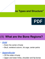 Bone Types 