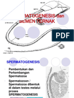5-spermatogenesis.pptx