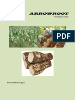 How To Grow Arrow Root