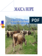 Jamaica Hope Brochure