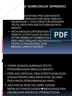 Dasar-Dasar Biomolekuler Reproduksi Pria