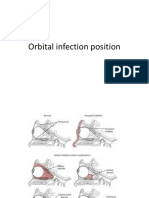 Orbital Infection Position
