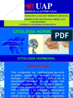 Citologia Hormonal Uap - Jrd-srl 2017 (2)