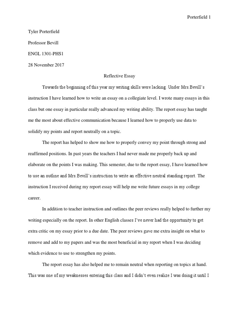 Reflective essay theories picture