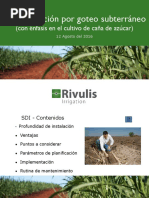 0. Riego por goteo subterraneo.pptx