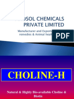 Animal Health Products, Herbal Veterinary Products, Natural Choline Chloride, Poultry Feed Additives Supplier