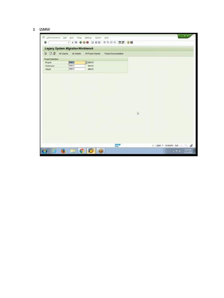 LSMW Steps for Data Management | PDF