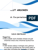 Akut Abdomen