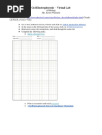 Ap - Gel Electrophoresis Virtual Lab Modified