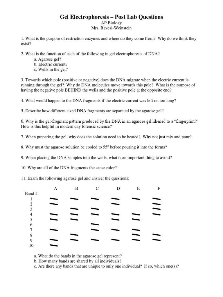 Ap Gel Electrophoresis Post Lab Questions