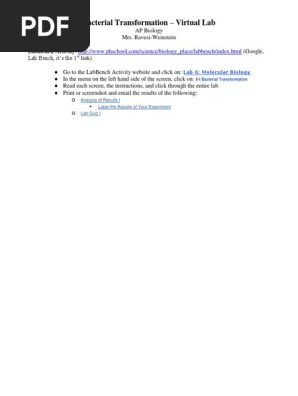 Ap Bacterial Transformation Virtual Lab Modified