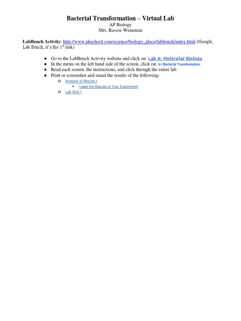 Ap Bacterial Transformation Virtual Lab Modified