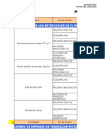 Matriz de Identificación de Riesgos MMA