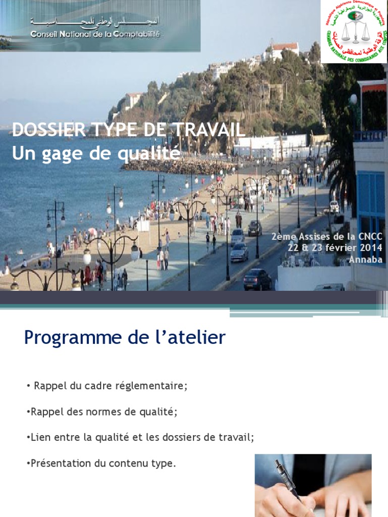 Dossier Type de Travail en Audit | PDF | Contrôle interne | Audit
