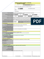 Nuevo Formato de Informe de Actividades