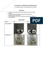 Informe Cultivo de Celulas Vegetales