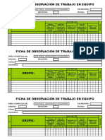 Ficha de Observación - Trabajo en Equipo - Individual 2