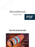 aterosklerosis-170517061317.pdf