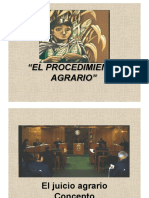 ProcedimientoAgrario.pdf