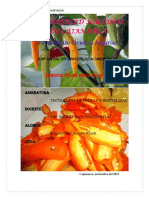 234363640-Informe-Pasta-de-Aji.docx