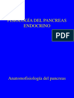 Digestivo III - Páncreas 2008