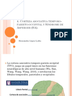 4. Tpo y Síndrome de Asperger