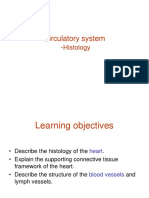 19 - Histology of Heart, Blood Vessels and Lymph