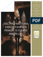 Esc. Preparatoria Carlos Castillo Peraza 1G Equipo Amarillos