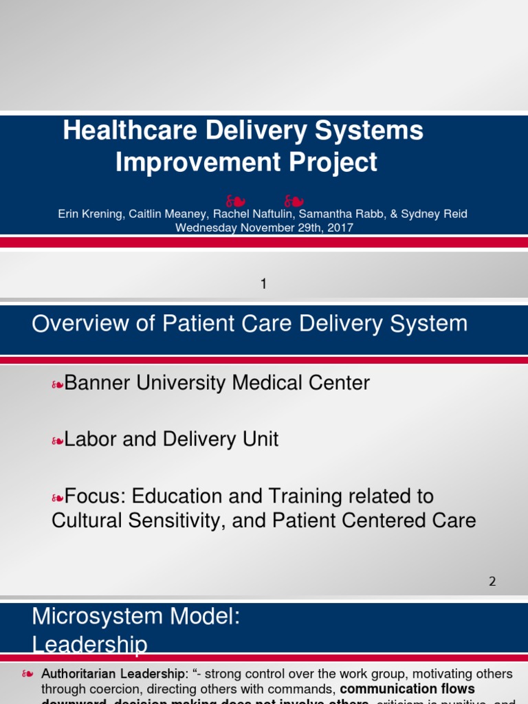 qip ppt Health Care Public Health