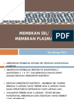 3. Membran Sel