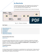 Reproduction in Bacteria