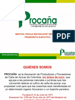 Presentacion Del Sector Caña Azucar en Colombia