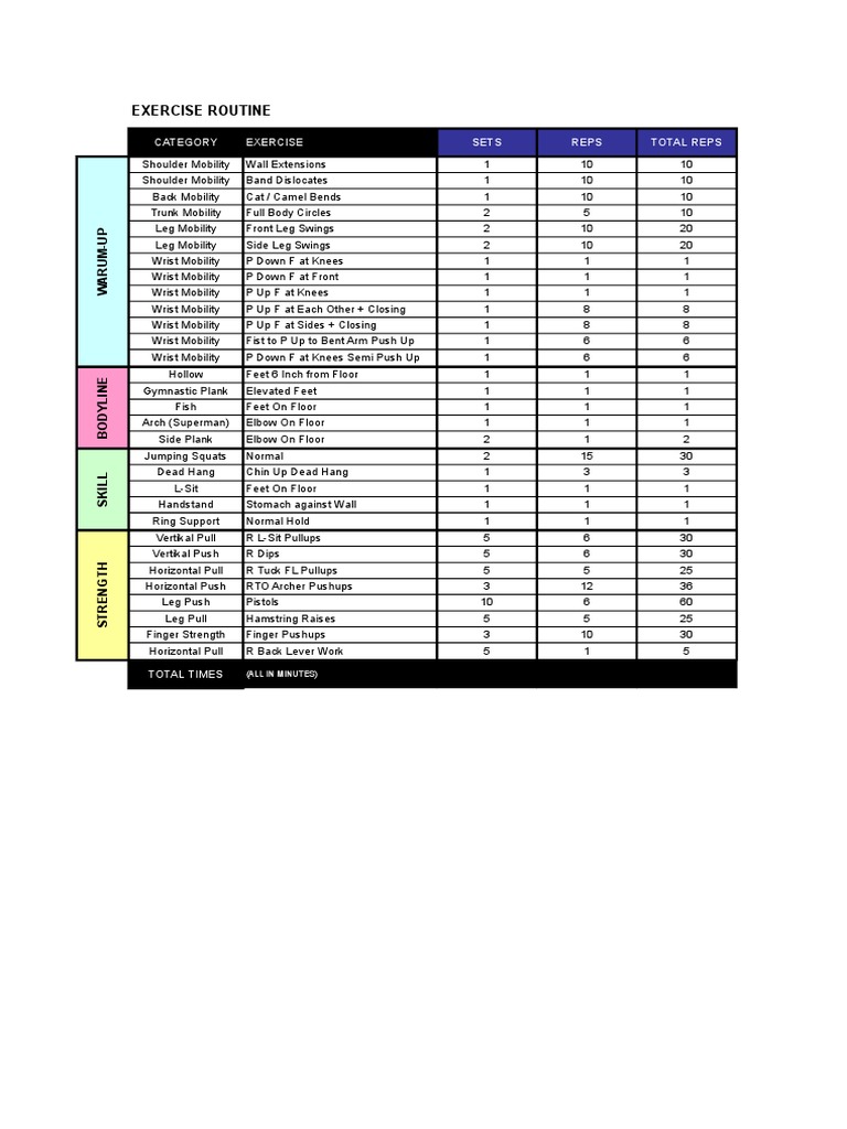 Exercise Log Old | PDF | Recreation | Human Body