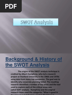  SWOT Analysis