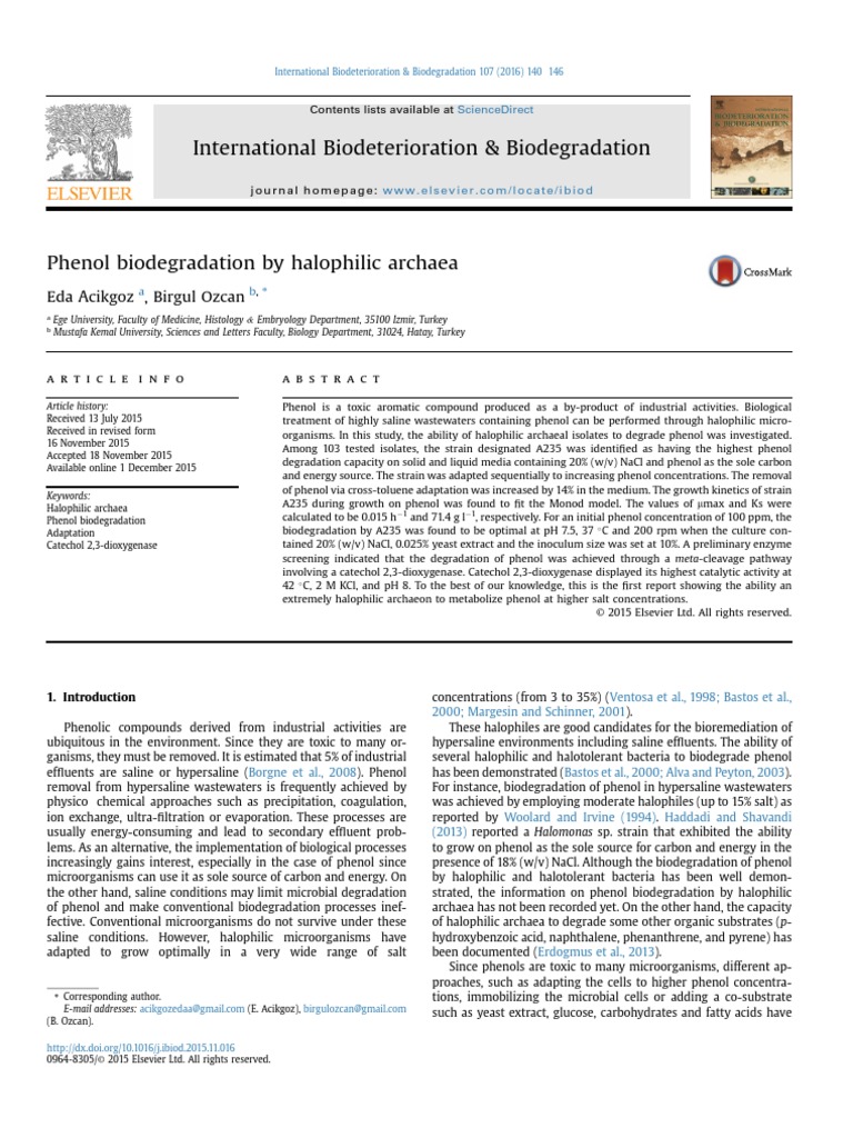 Phenol biodegradation thesis picture
