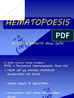 HEMATOPOESIS