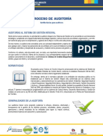 procesoauditoria.pdf