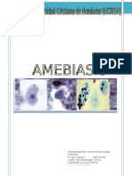 20868056-AMEBIASIS-INFORME