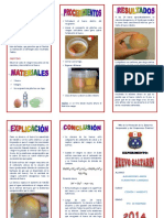 Triptico Huevo Saltarin Alex PDF