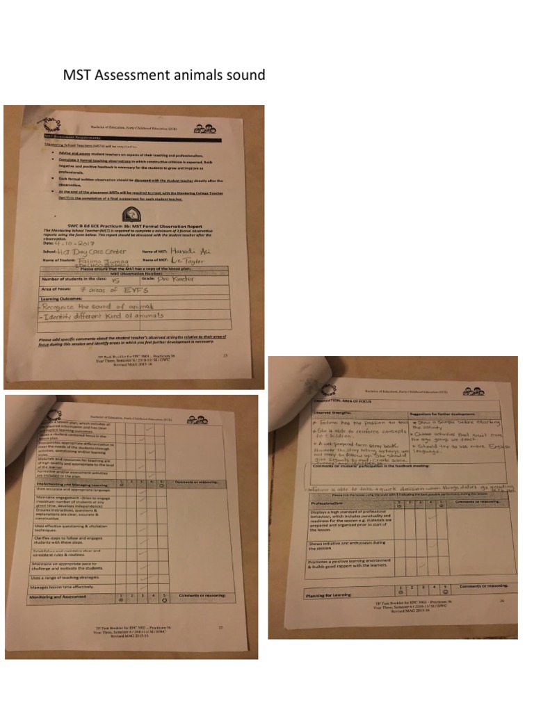 MST Assessment Animal Sound | PDF