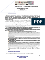 Foca No Resumo Providencias Preliminares e Julgamento Conforme o Estado Do Processo1