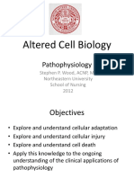 M1.Cell.adaptation