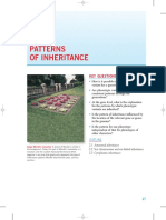 Patterns of Inheritance: Key Questions