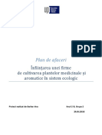 Ana Gerber Plan Afaceri PDF