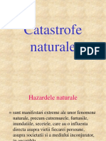 Catastrofele Naturale