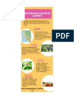Infografia Loma de Lachay Ultimo