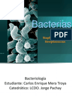  Staphilococos y Streptococos